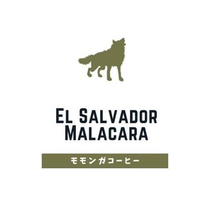 【数量限定】El Salvador Malacara Bourbon（エルサルバドル　マラカラ農園　ブルボン種）100ｇ