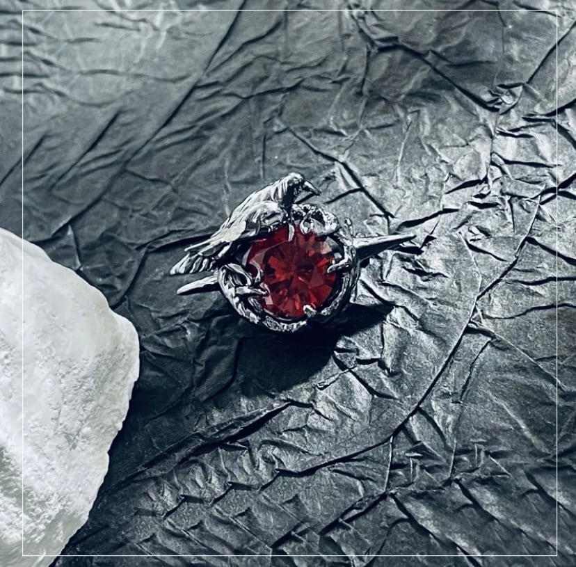 ヨッコ❣️ミステリーセッティングルビーブローチ 闇夜の守護者 - 黒翼ルビーブローチ | 次元館