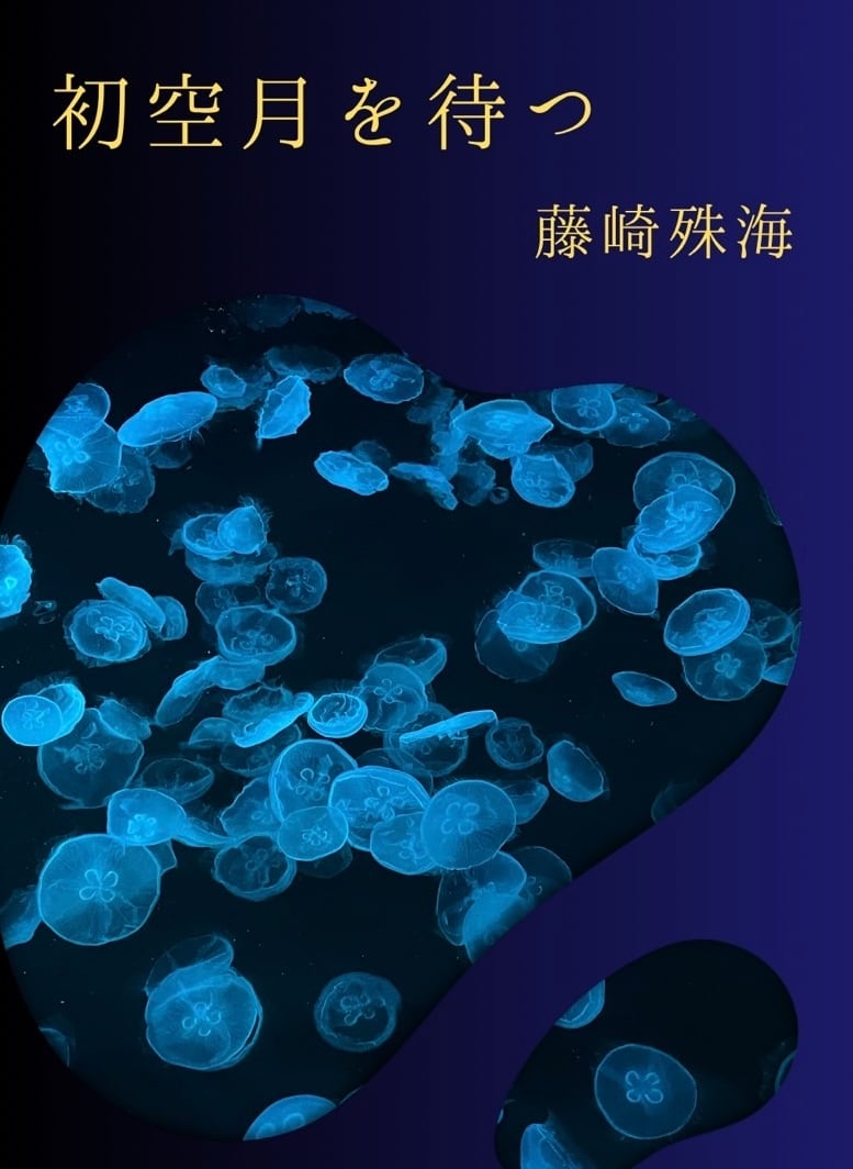 海月舎 ZINE通販