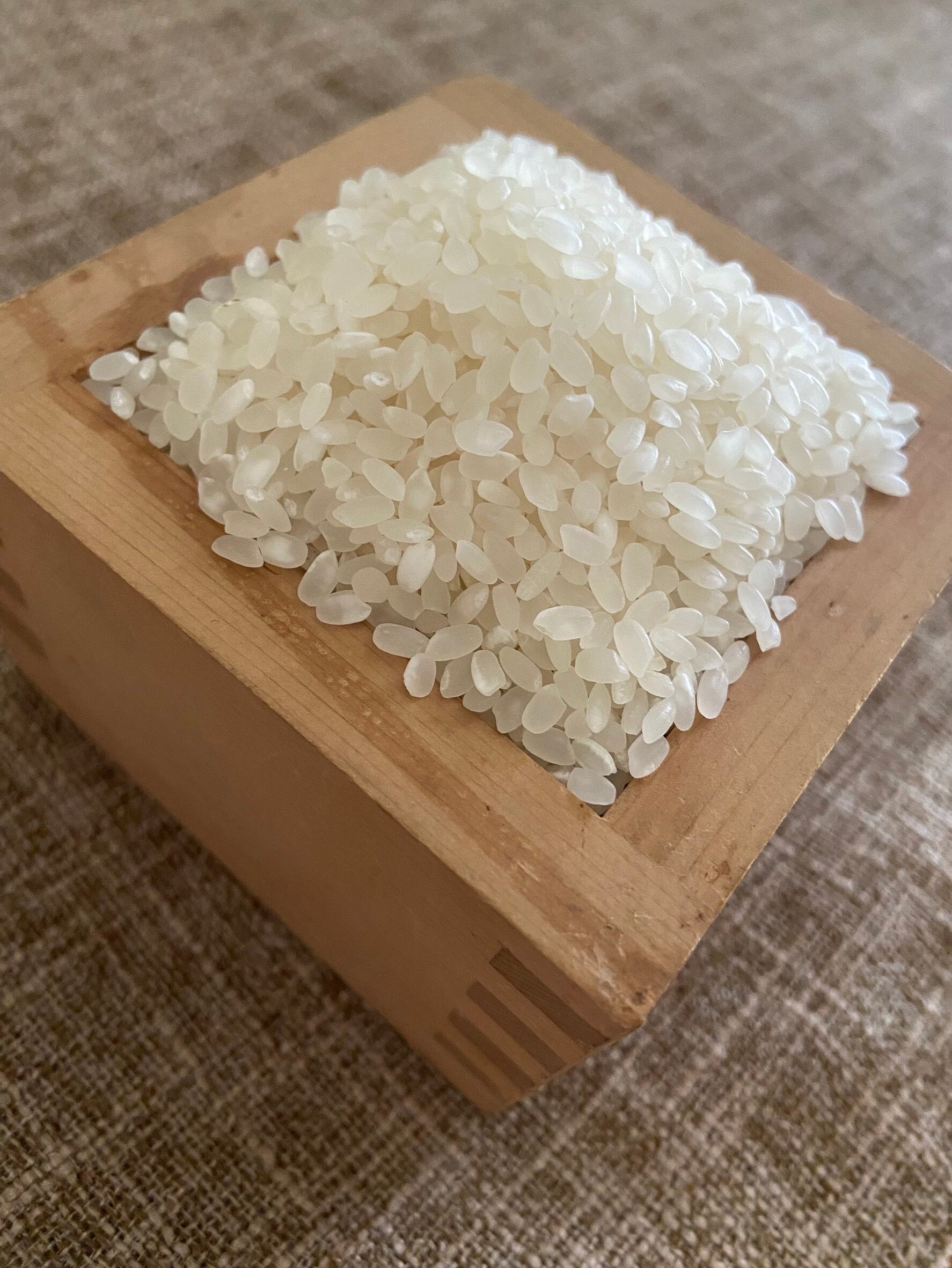 令和6年度滋賀県産新米キヌヒカリ 玄米20㌔＋サービス付