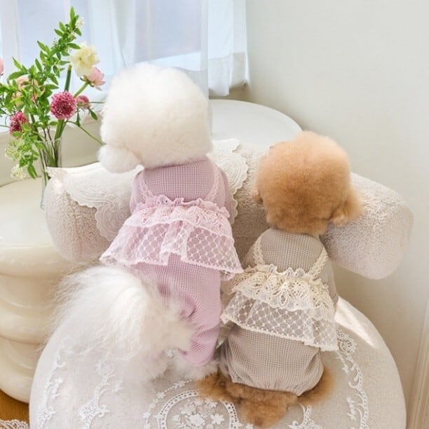 すぐにお届け】犬服 レースフリルキャミ重ね着風ロンパース トップス