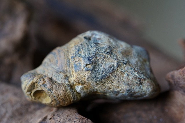 ゴビアゲート Gobi Desert Eye Agate　土偶