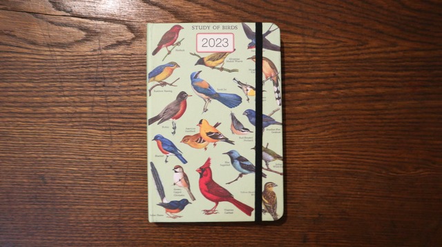 CAVALLINI 2023年ウィークリープランナー Study Of Birds