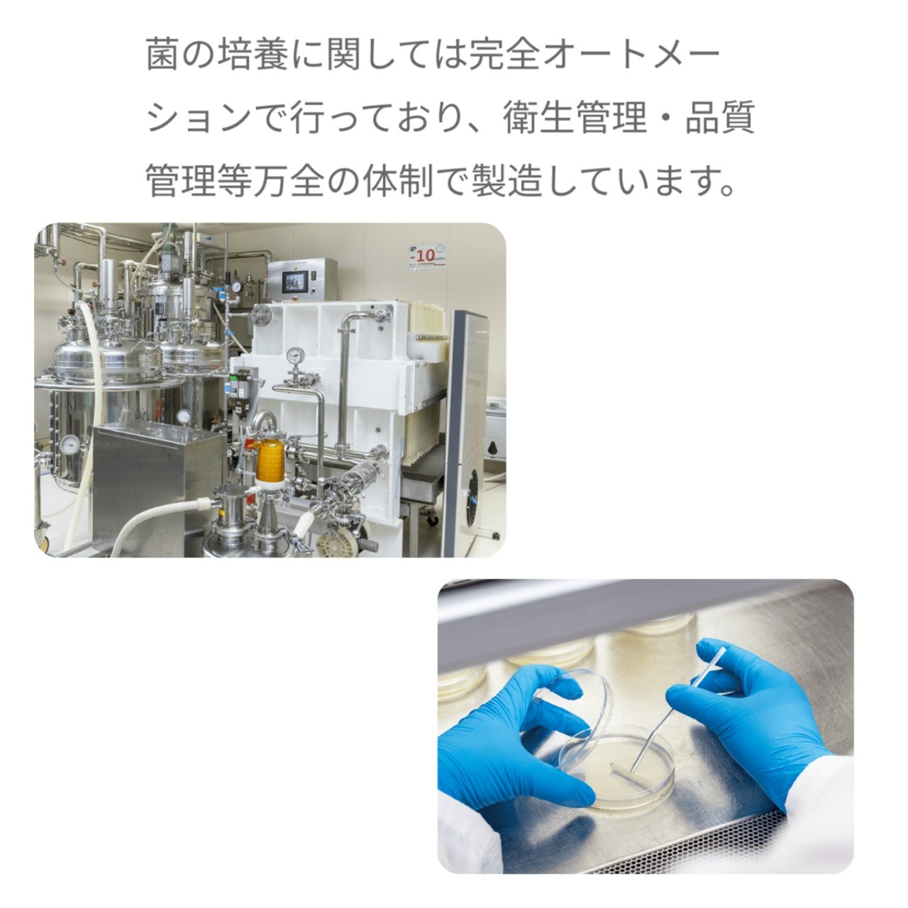 【THINKIN】ウィークリークレンザー｜角質ケア・毛穴スッキリ・週1回のスペシャル洗顔（60g）