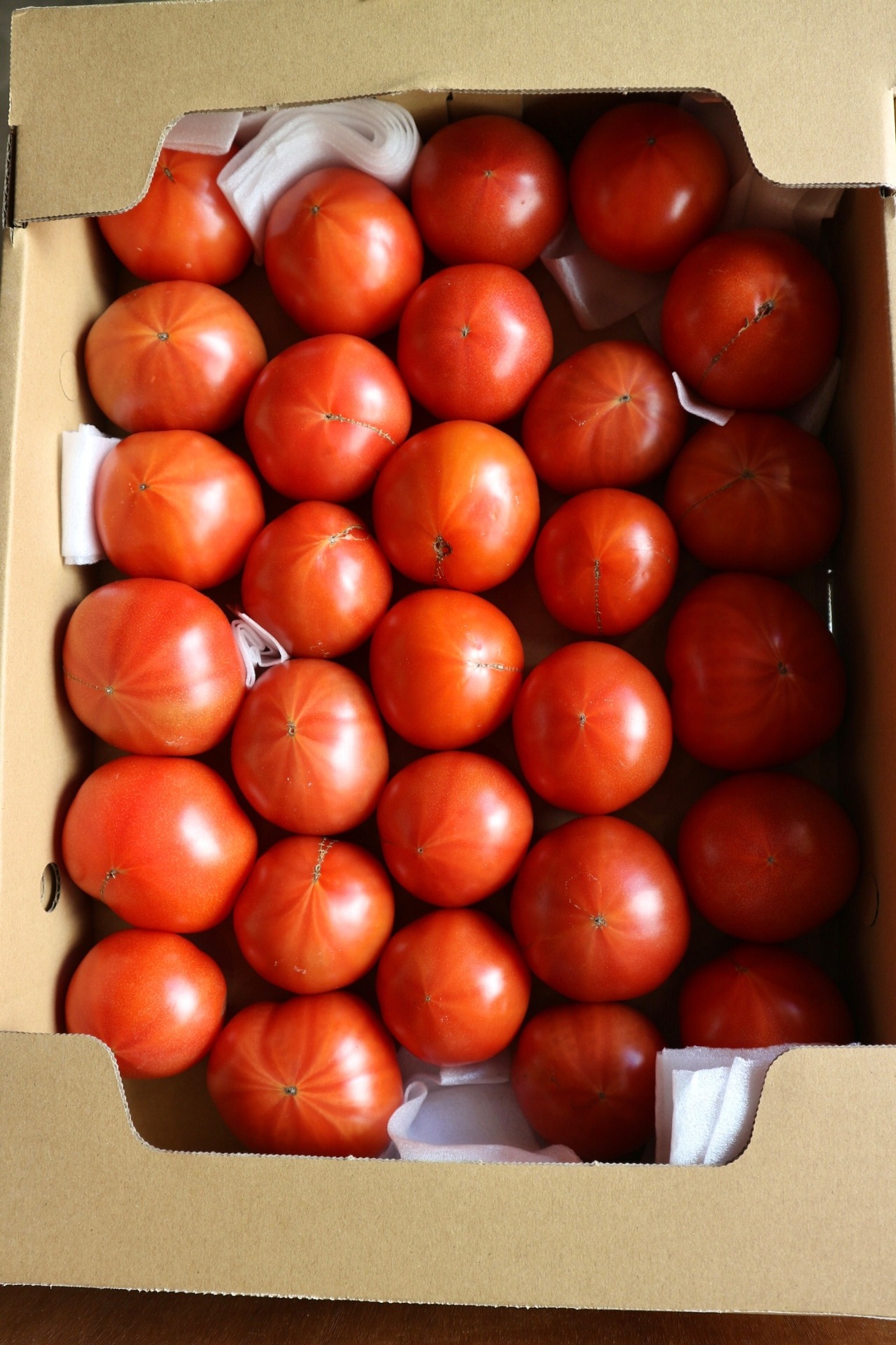 岩城島より今季初の！美味しい　島トマト　3kg【岡野農園】