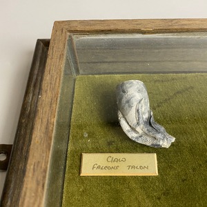 Pipe Specimen / パイプ スペシメン＜額縁 / 店舗什器 / ディスプレイ＞2806-0307