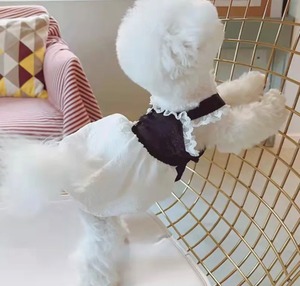 ワンピース❤︎