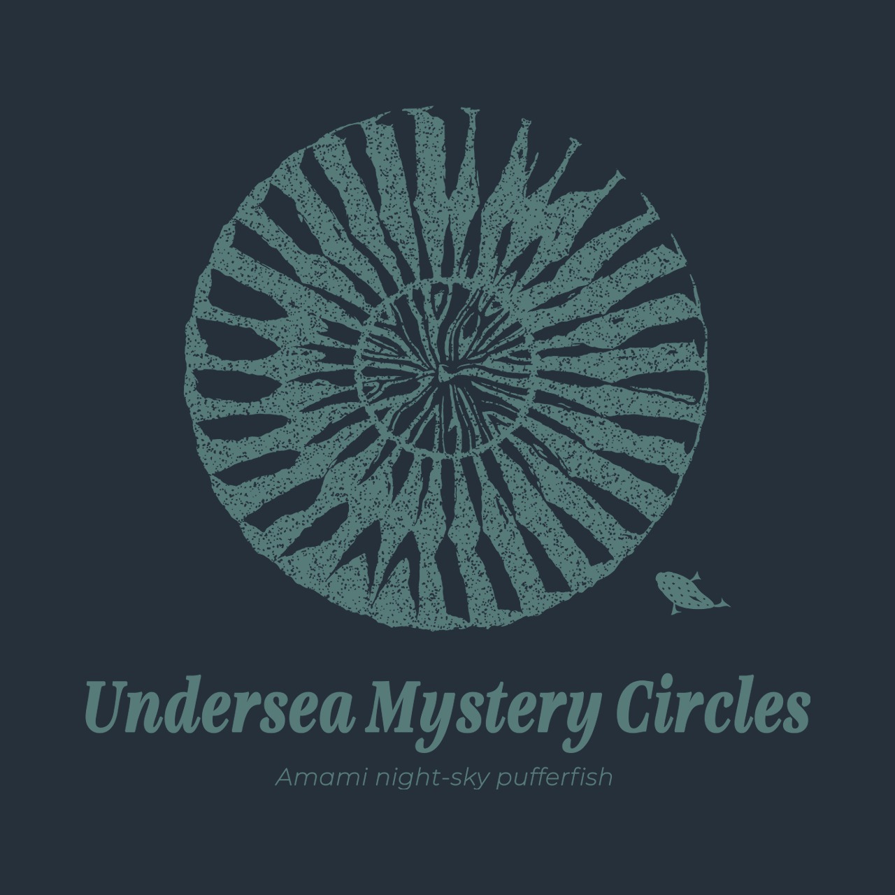 Undersea Mystery Circles-Tシャツ(スレート) - 4