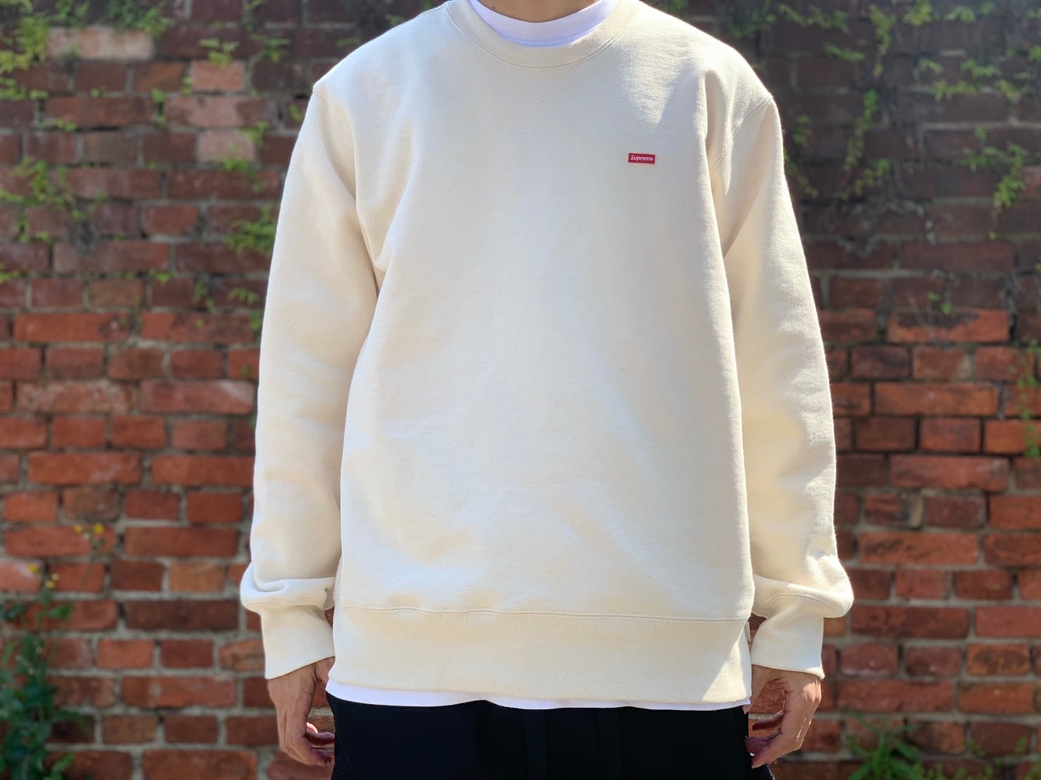 Supreme 19AW SMALL BOX LOGO CREWNECK NATURAL LARGE 120 | BRAND ...