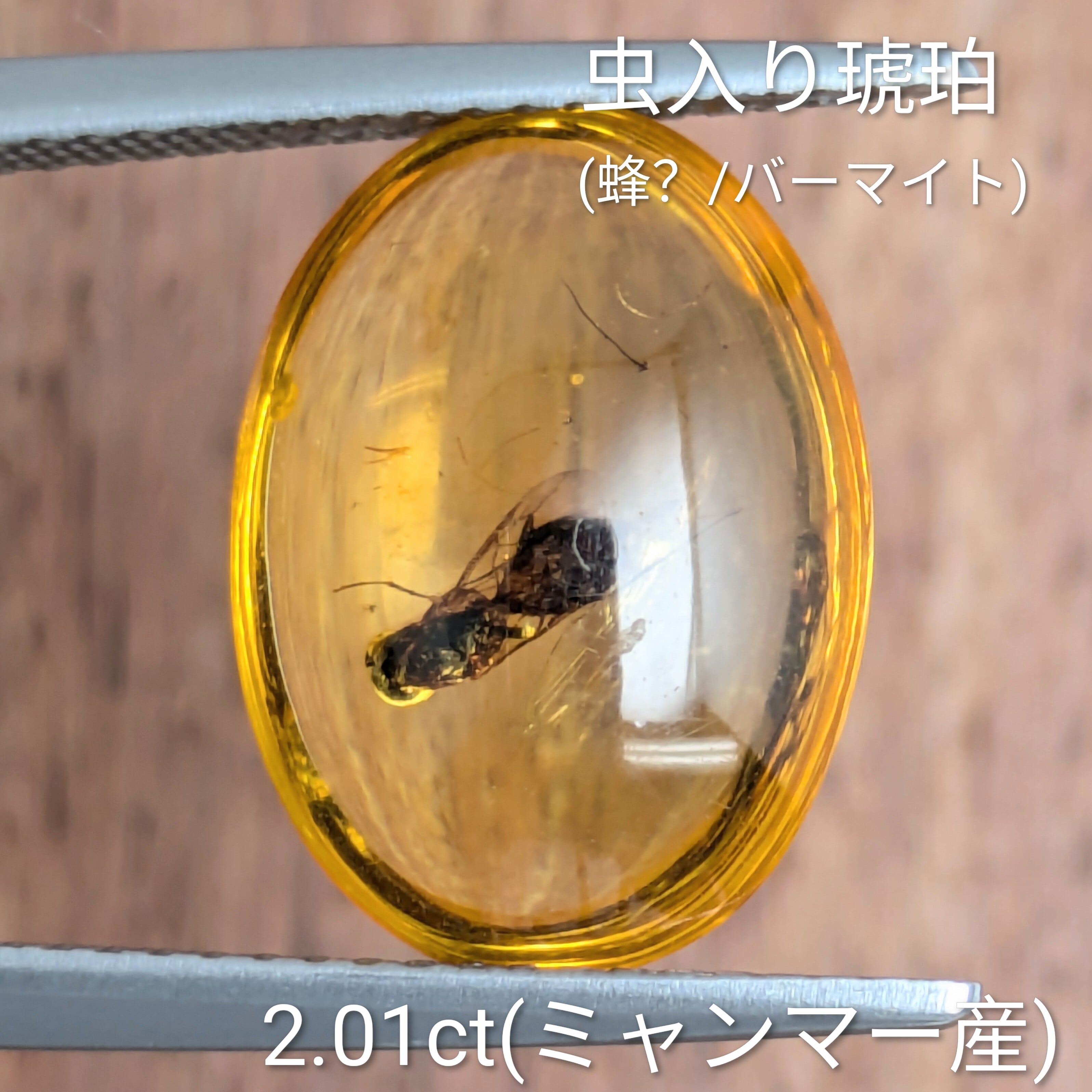 虫入り琥珀（蜂？/バーマイト)ルース ミャンマー産【2.01ct