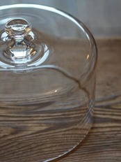 floresta fabrica 鈴木努 ドーム15㎝