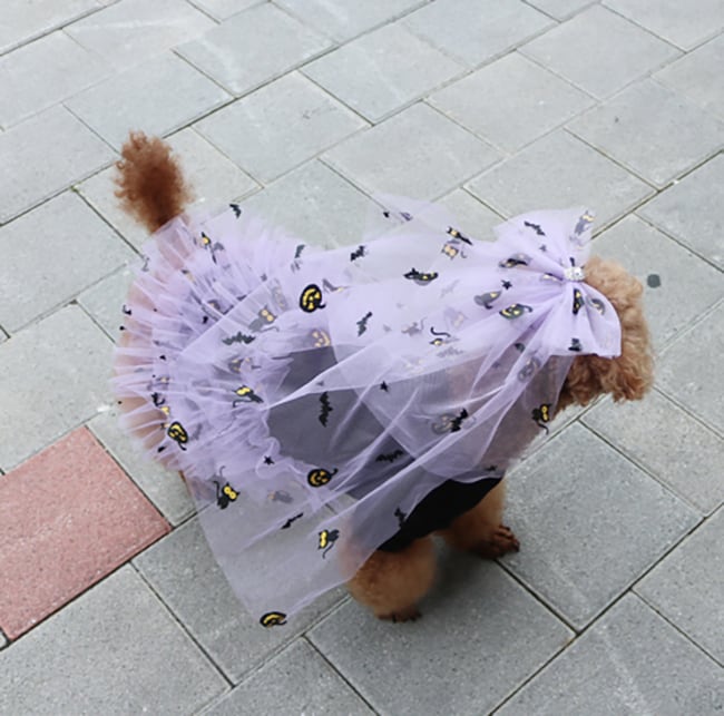 halloween onepiece S ~ XL 2color  /  犬の服 犬服 ワンピース 秋冬 新作 ハロウィン ドレス 小型犬 中型犬 可愛い ドッグウェア チュール b26