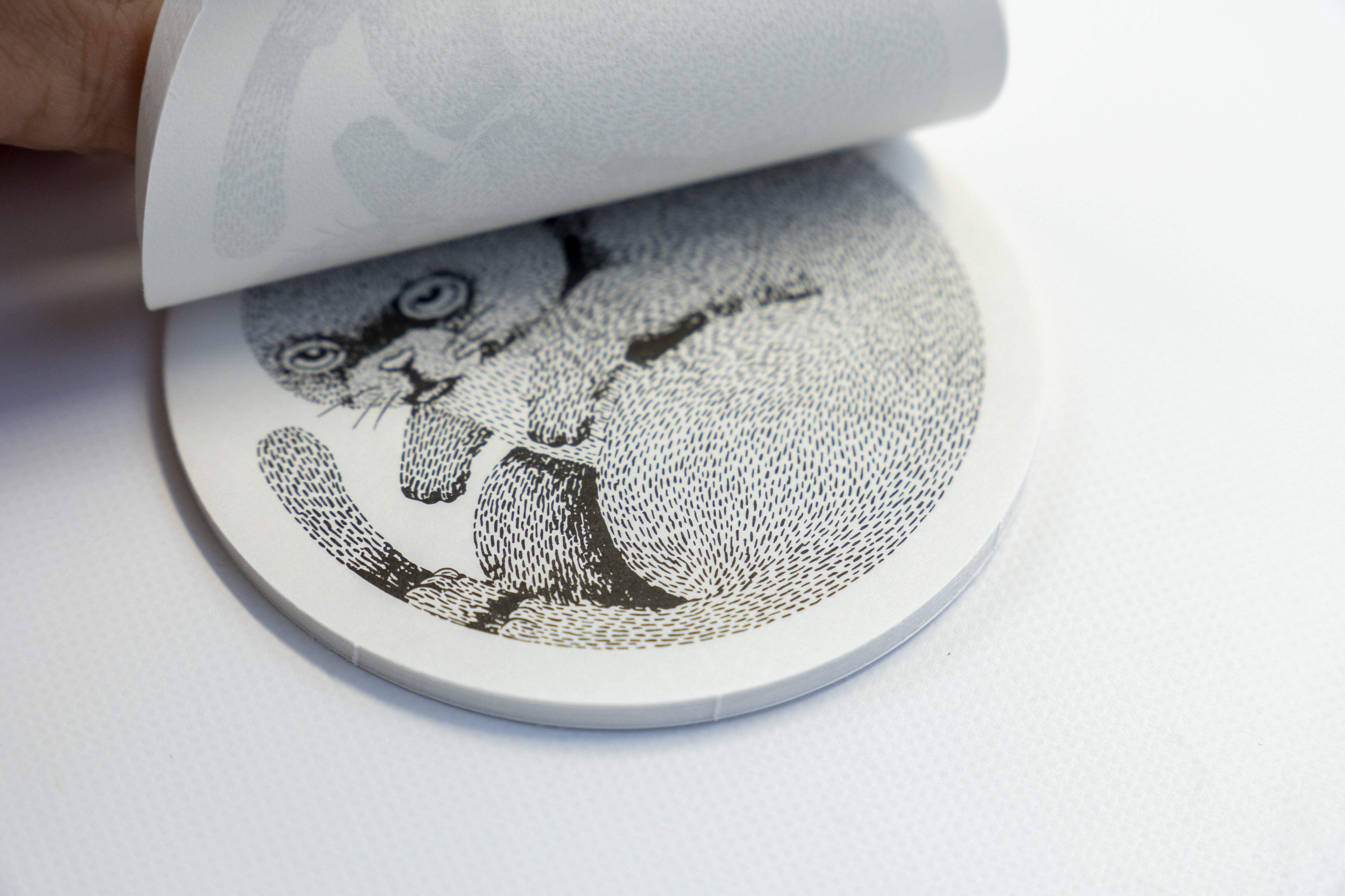 山猫瓶詰研究所★メモ帳セット 山猫瓶詰研究所 メモ帳 丸型メモ ロゴねこ | 山猫瓶詰研究所