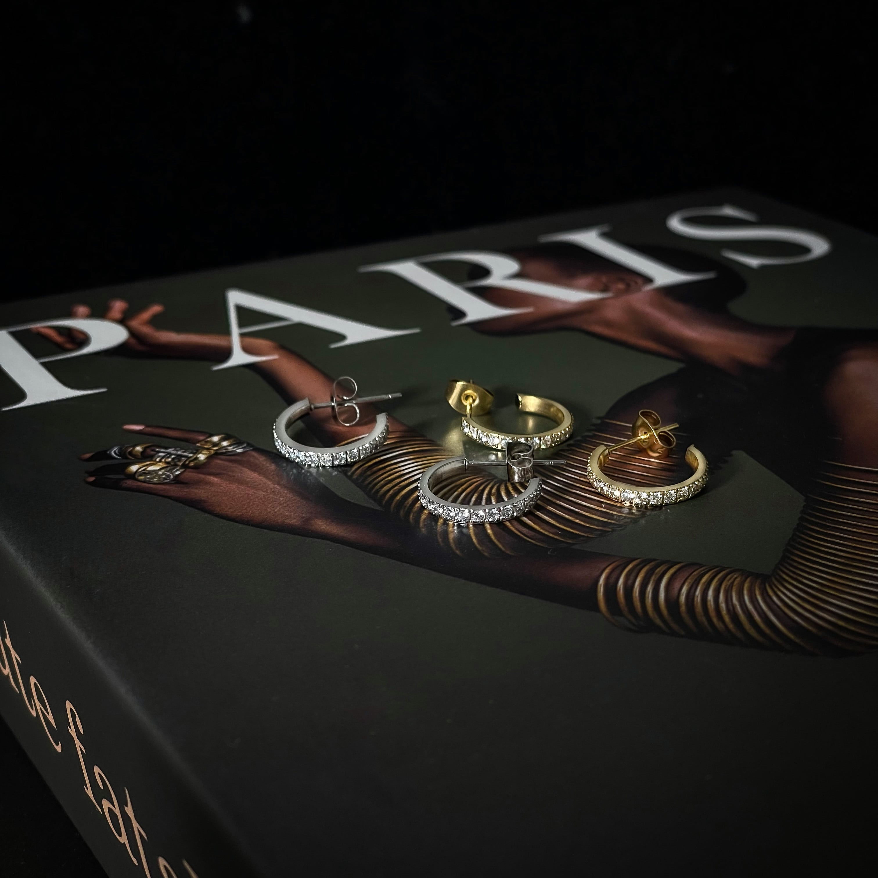 両耳セット】316L zirconia hoop pierce | ✯Lucliss Jewelry✯