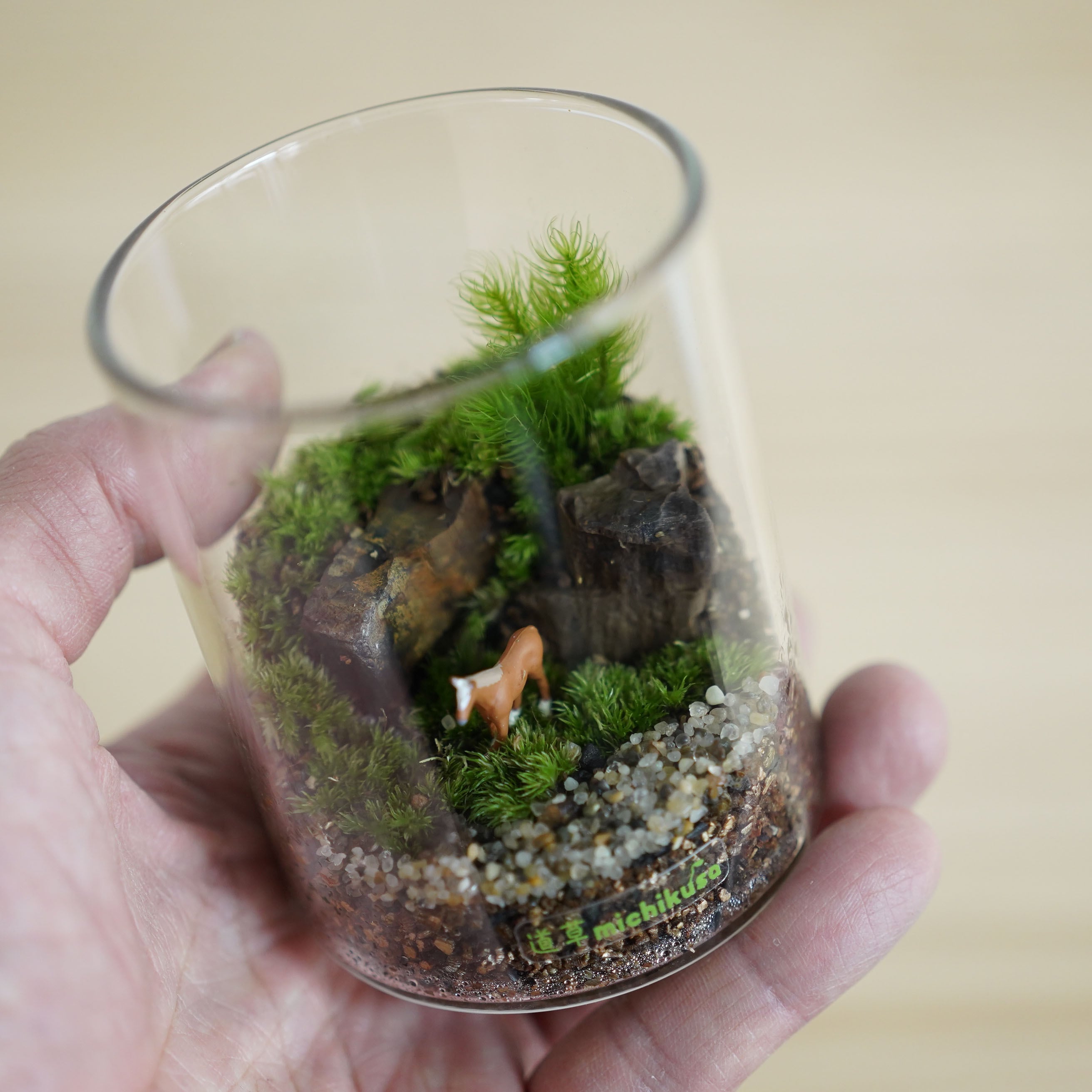 ミニチュアの世界】原野の馬の苔テラリウム シリンダー | 苔テラリウム
