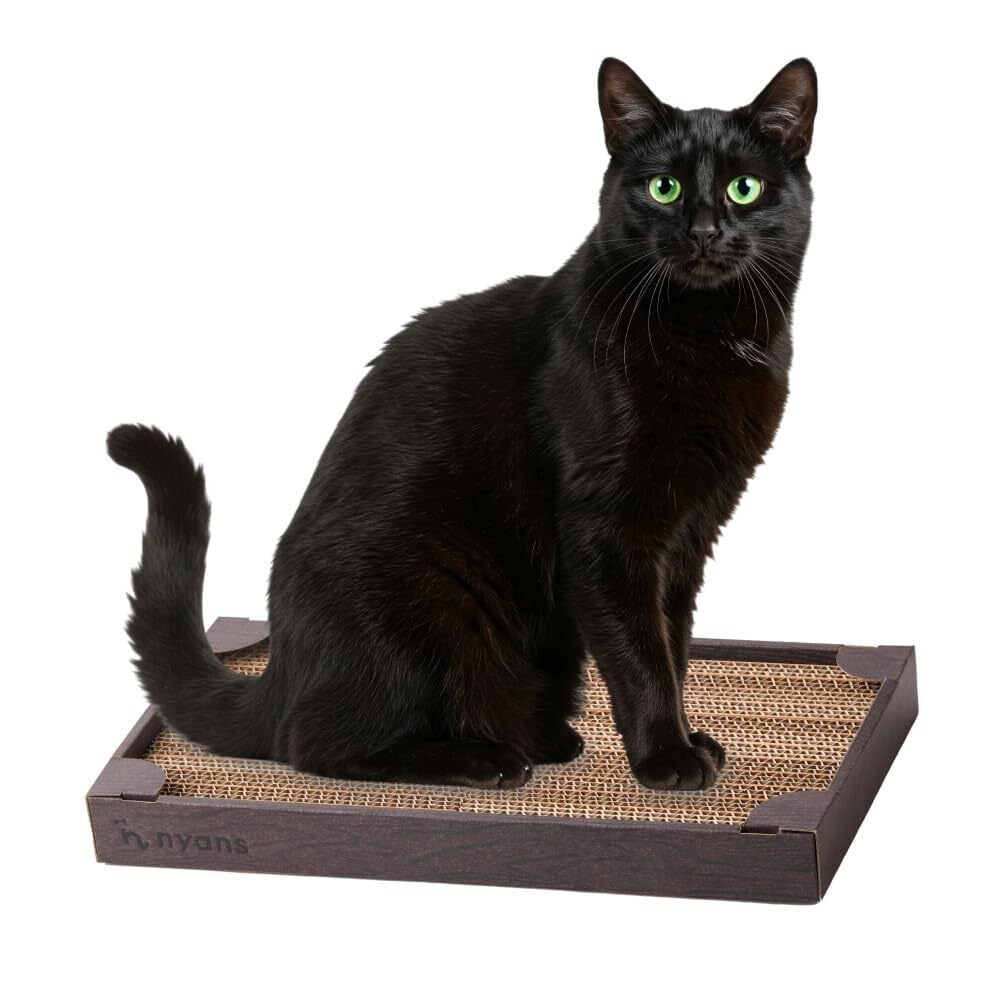 ゆうきにゃん様コメント用 楽天市場】にゃんこ四字熟語 新柄 ポストカード 1枚入 フタバ はがき