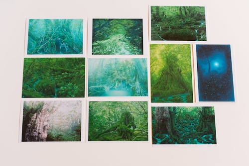 森のポストカード10枚set