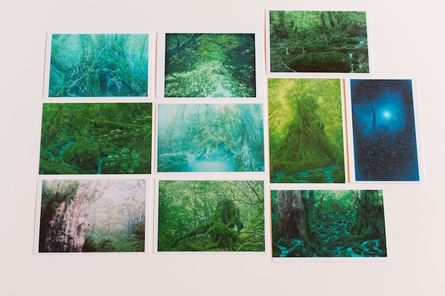 森と海のポストカード10枚set