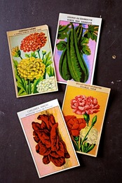 20s フランス 4set 膨満な花々と野菜たち 種子袋用ラベルt アンティーク