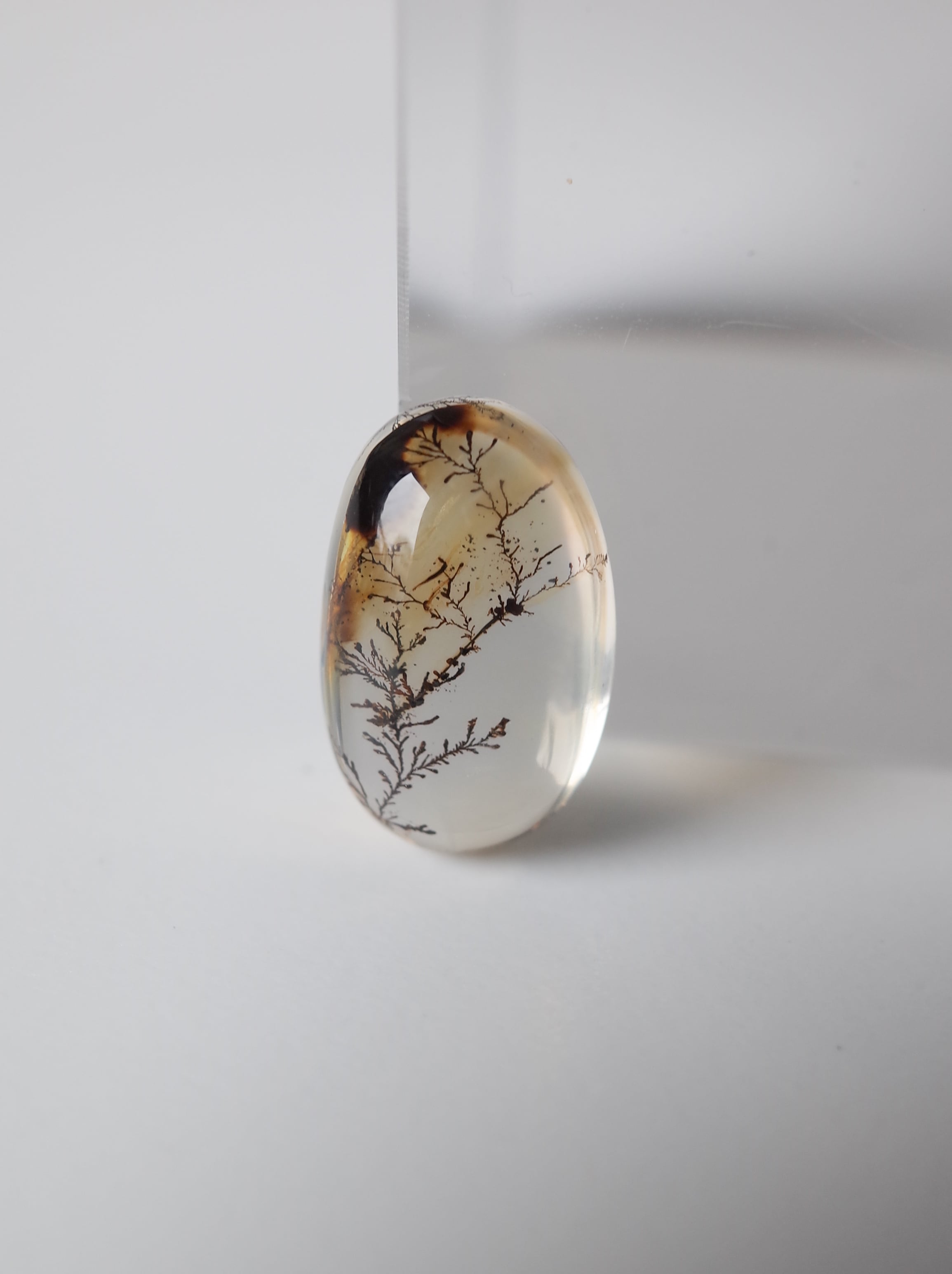 デンドライトインクォーツ　高透明　極美品　約9.4〜9.9ミリ　不滅の樹木 激レア〜 天然高品 デンドライトクォーツ デンドライトインクォーツ 極