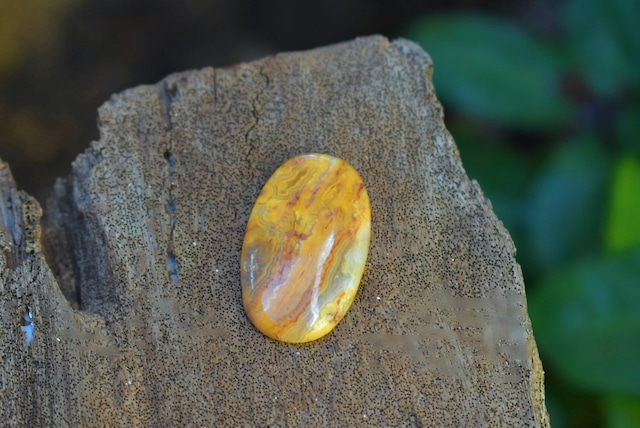 黄金★瑪瑙　アゲート　ルース cry004