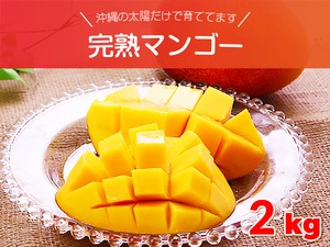 完熟マンゴー 約2キロセット （4～8玉入り） 沖縄県産 沖縄の太陽だけで育ててます