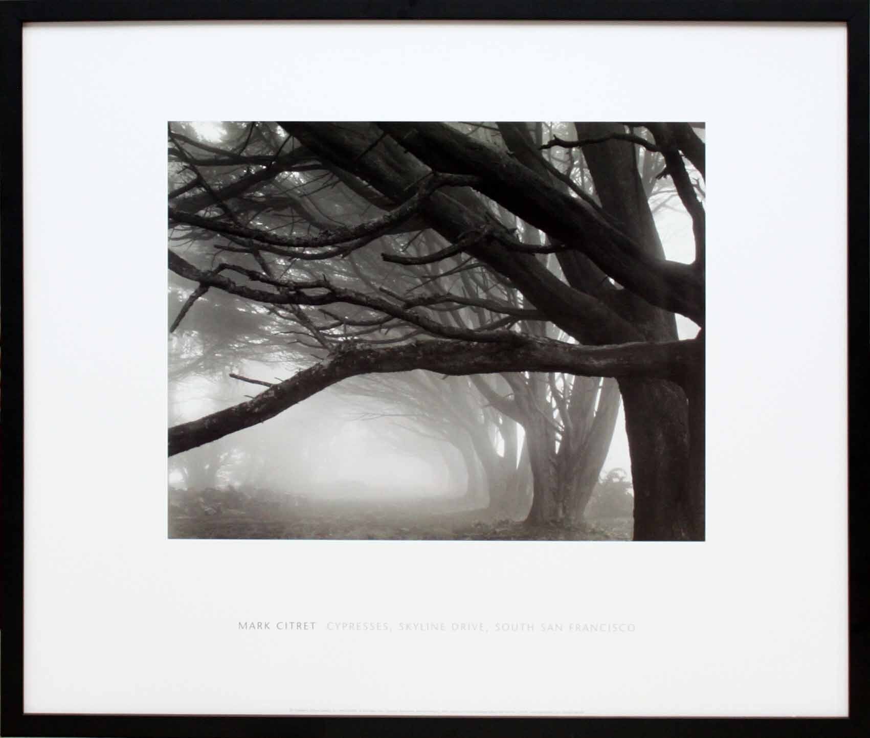 モノトーンアート 「糸杉/スカイライン ドライブ」額縁 フック付き インテリアポスター