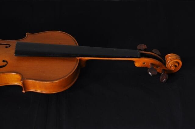 violin