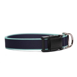 Harry Barker | CHELSEA DOG COLLAR - NAVY×TURQUOISE（S）