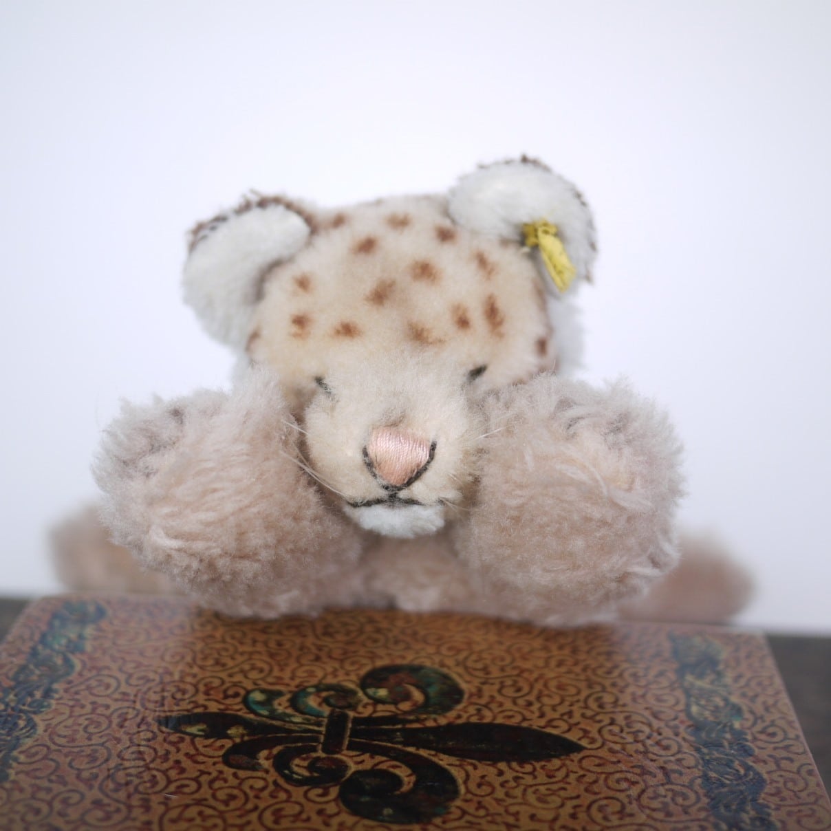 シュタイフ 眠るライオン Floppy Leo löwe