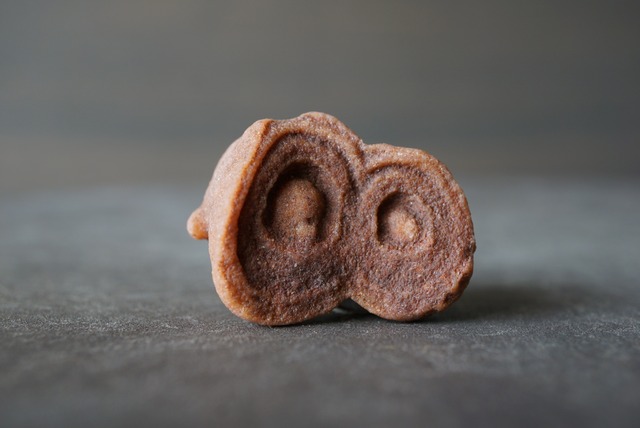 モロッコ産ストロマトライト Stromatolite 1059