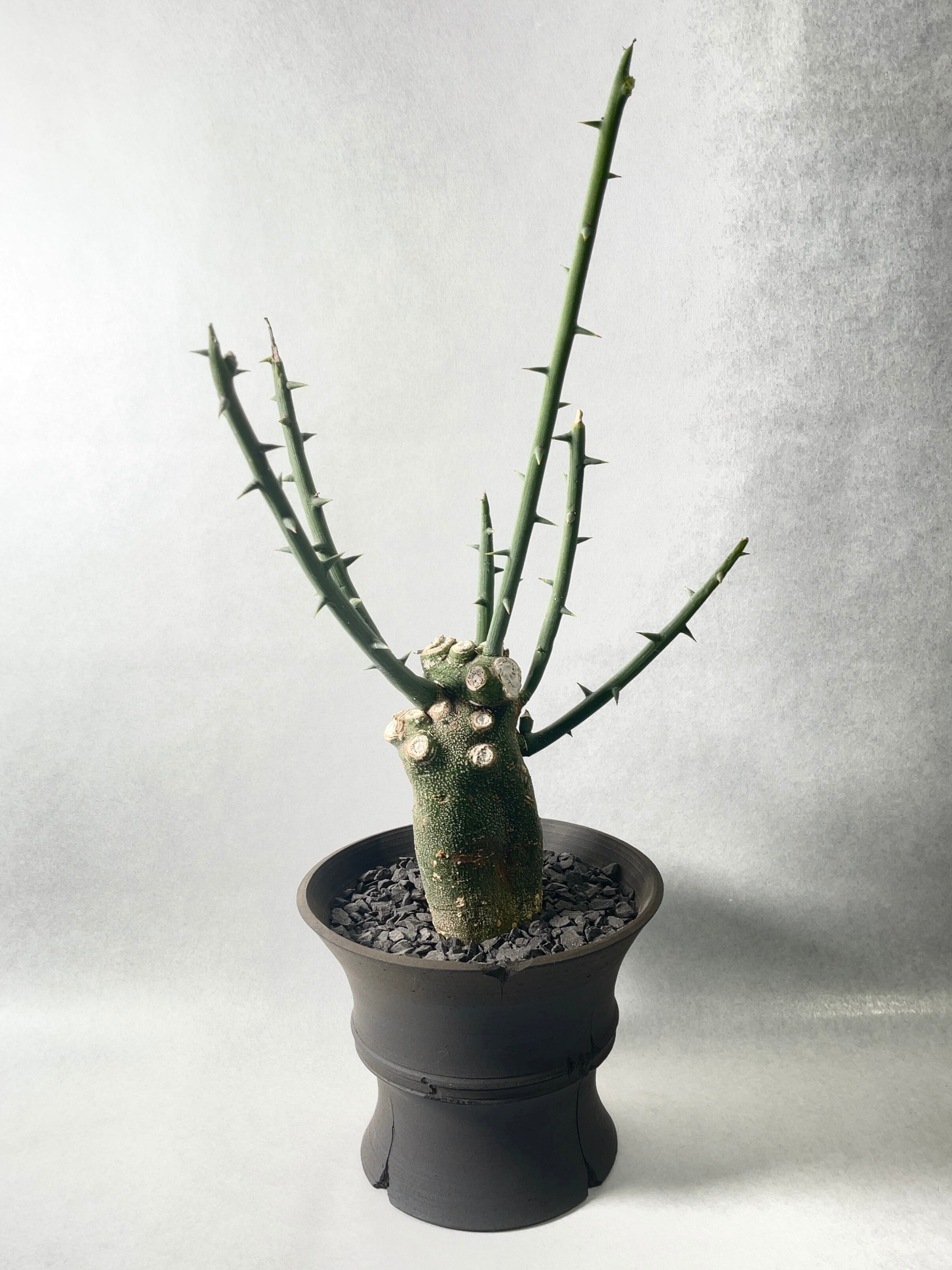 10bf18e8c671b28f377b58a9289e83  