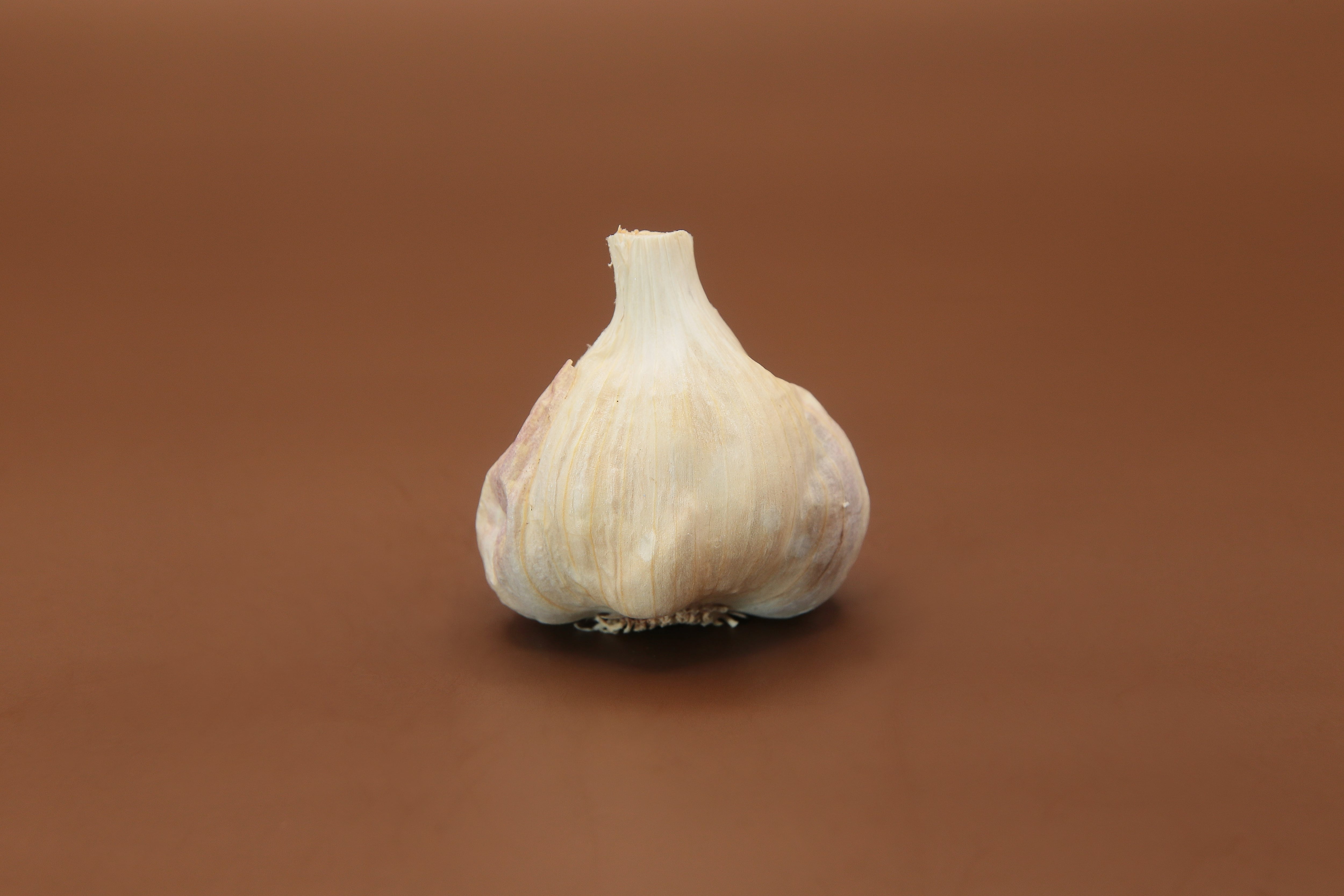島にんにく】「伊江島」 S～M玉サイズ混合 500g | トラキチ農園