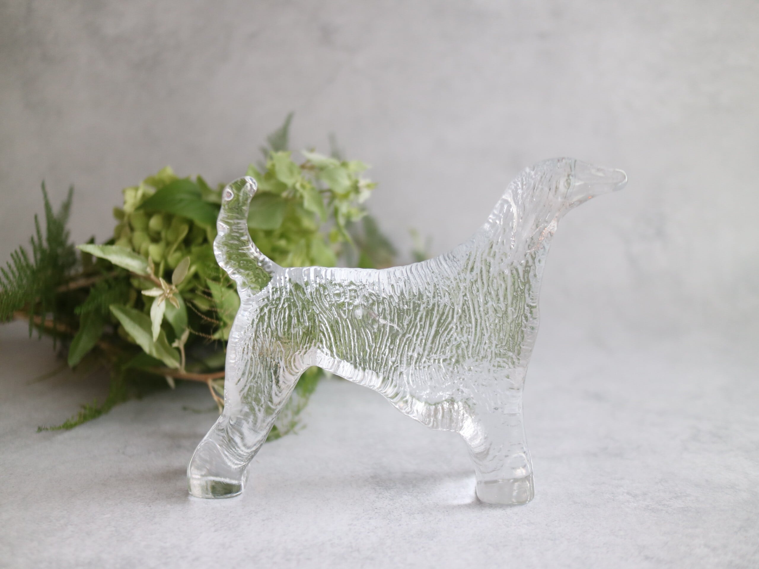 Kosta Boda / Kennel アフガンハウンド ガラスのオブジェ No.5389