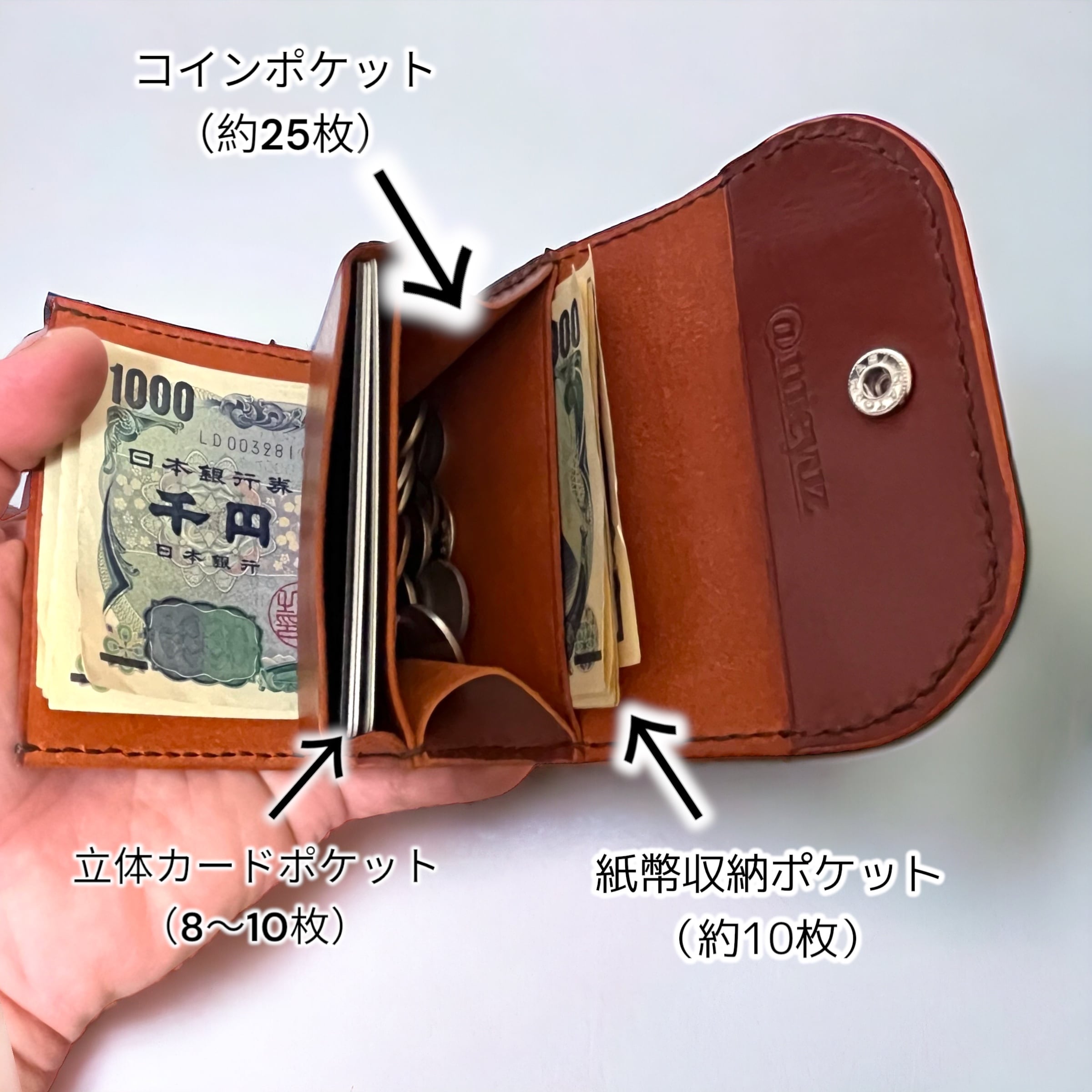 お札の折れないミニ財布 本革 小さい財布 ギフト 選べるカラー