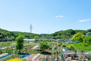 《隔週 / ユギムラ受取》FIO野菜-定期便 Mサイズ