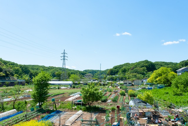 《隔週 / ユギムラ受取》FIO野菜-定期便 Mサイズ