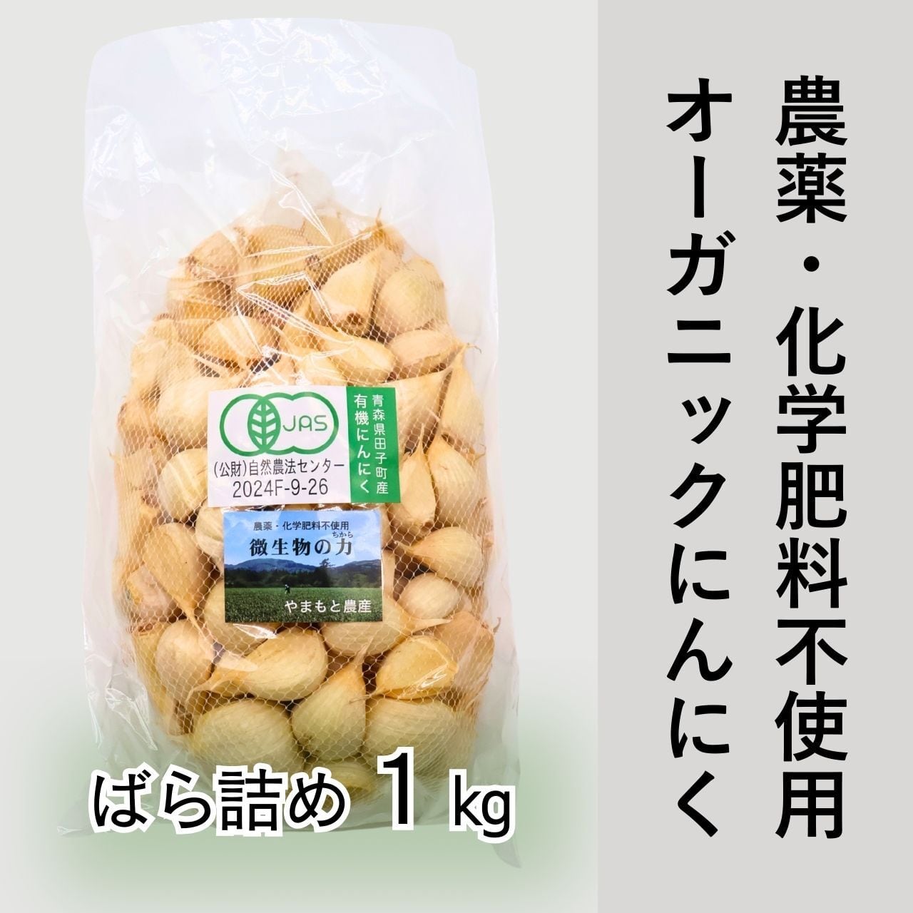 青森 フタバ ニンニク高速仕上機 NS-BH にんにく乾燥球根仕上機 電動式 にんにく 大蒜 ニンニク おしり側 研磨機 ニンニク系農機具- 農家の味方 農機具スーパー 青森県十和田市 中古