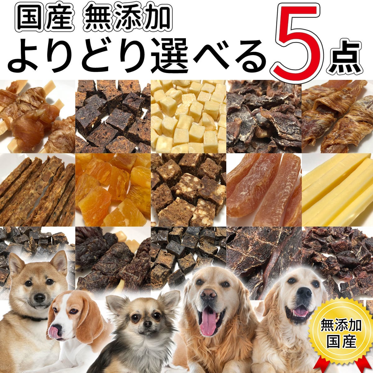 DogFoodle) ドッグフードル 犬食 選べる 5個 お試し 小分け セット