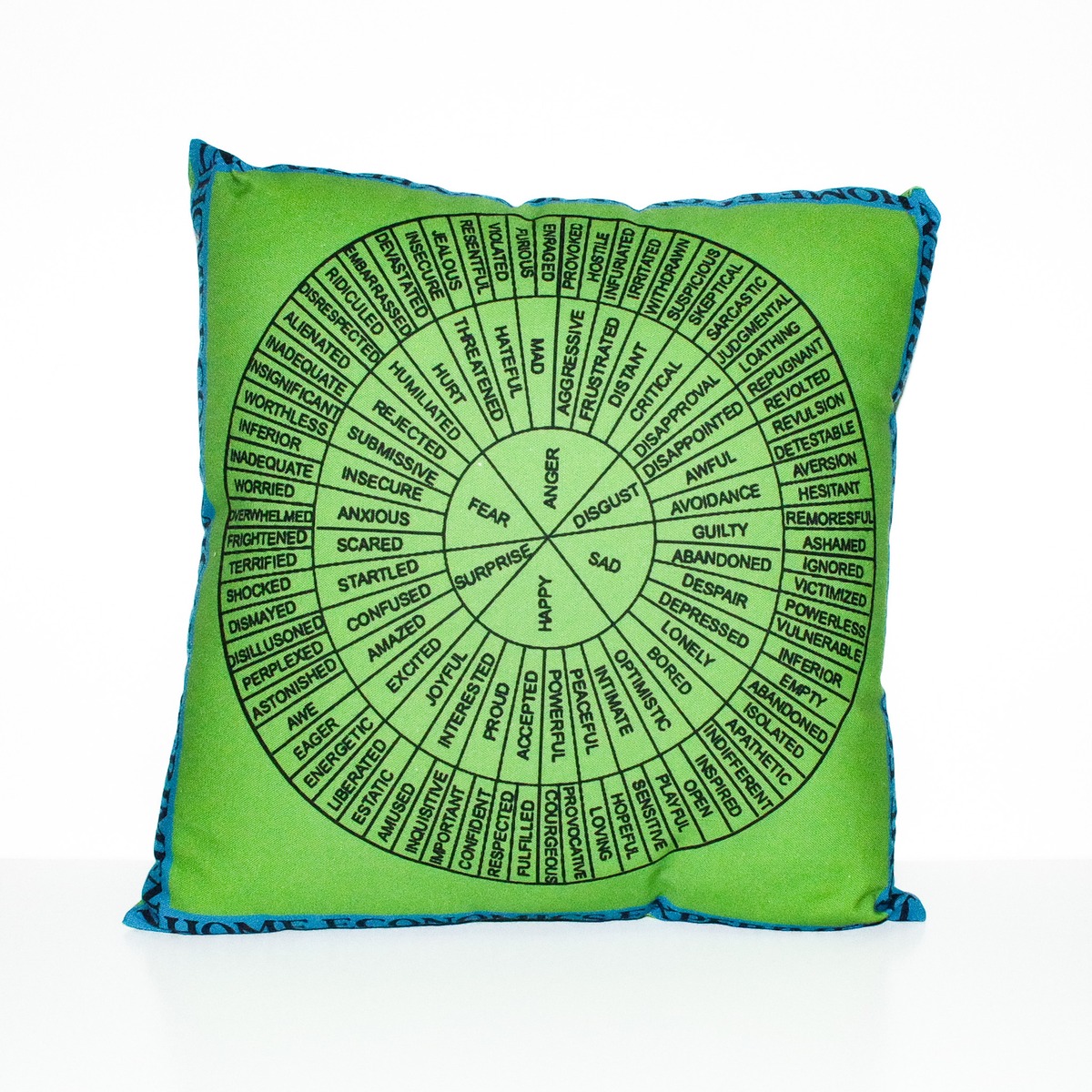 CUSHION accept any feeling HOME ECONOMICS EXPERIMENT