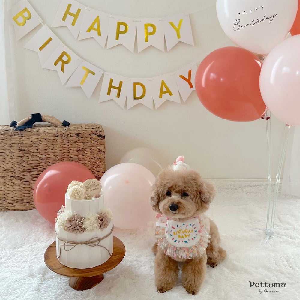 送料無料】 Pettomo うちの子記念 選べる バースデー バルーン セット