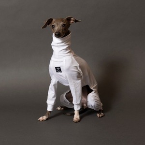 コットンロンパース2023　white / イタグレ服