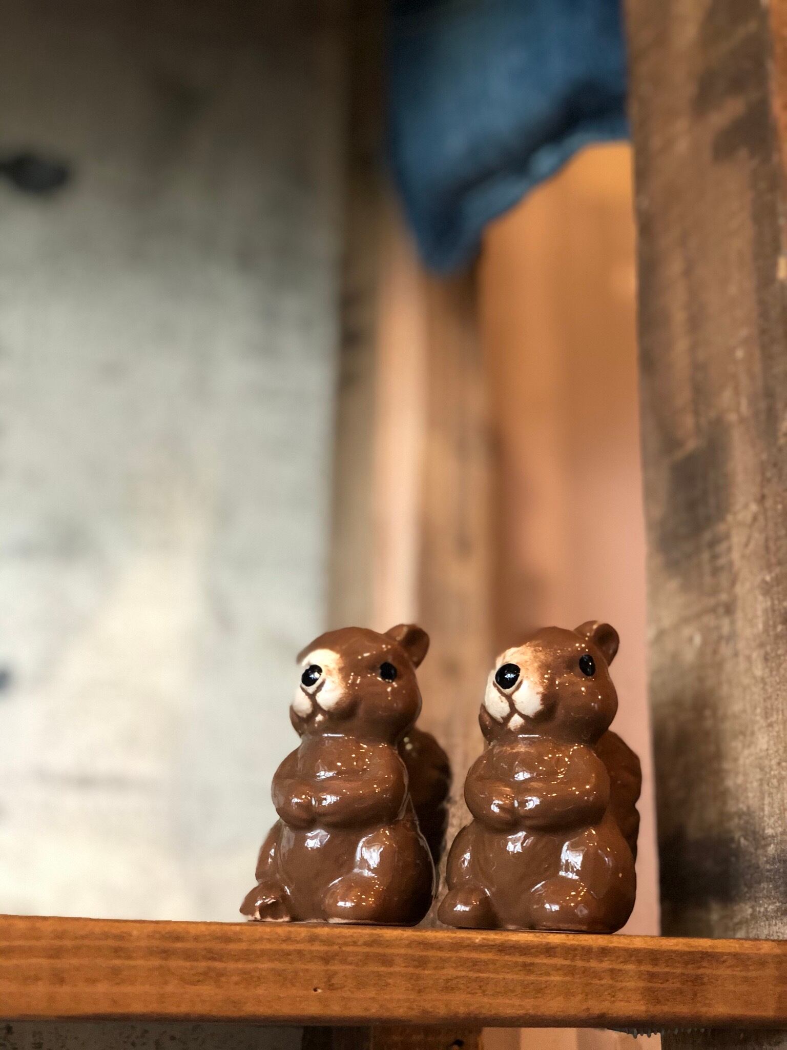 限定製作 ロバ 陶器 ソルトu0026ペッパー 置き物 アメリカ 最安値 Siaki Co Za