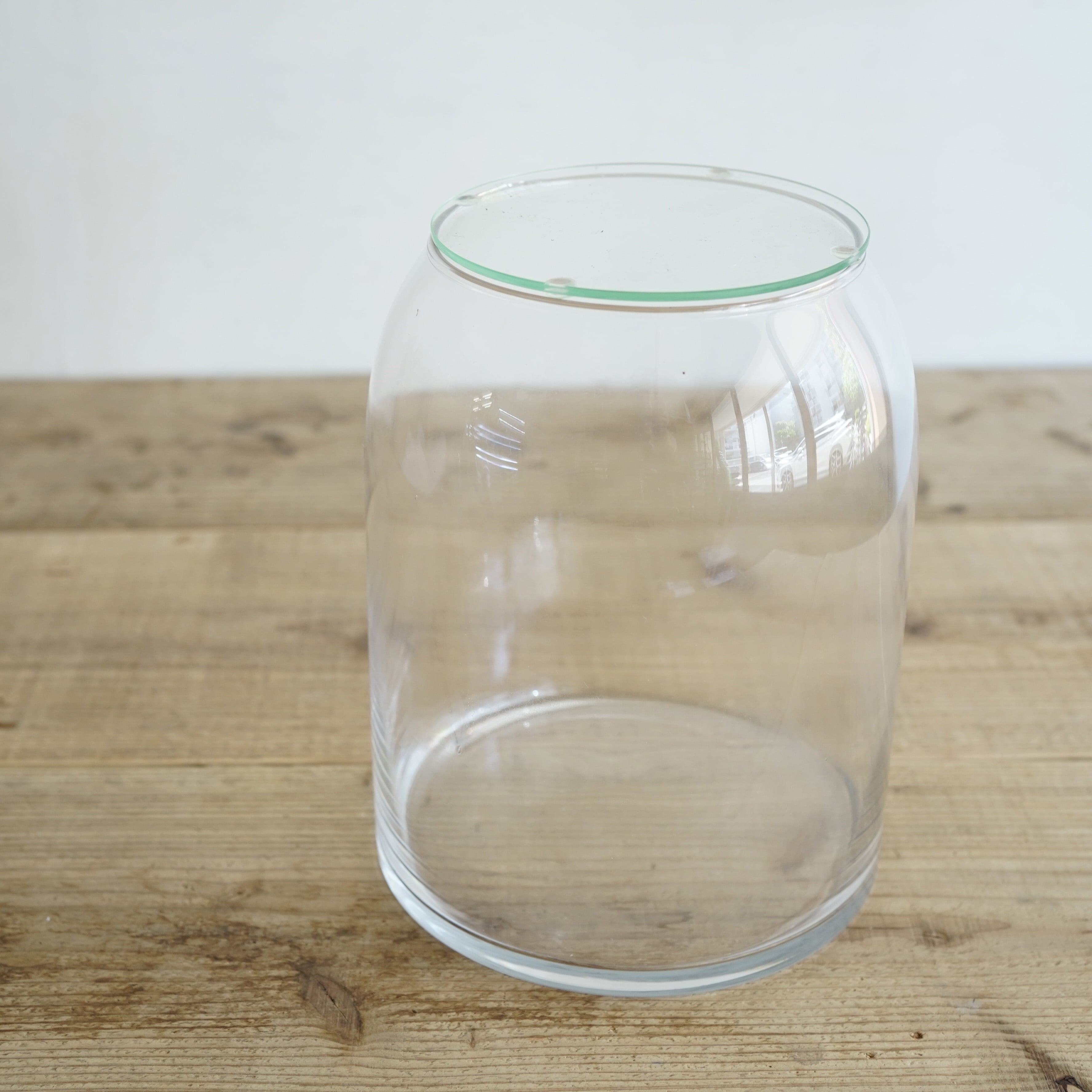 ガラス容器】パセオラージ（Φ170xh200mm） | 苔テラリウム専門