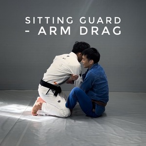 シッティングガード　アームドラッグ