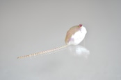 【monaka】 Keshi Pearl earrings - ケシパール