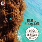 沖縄県石垣島産 塩もずく 500g お試し＆リピート大歓迎！ 産地直送（送料込み）