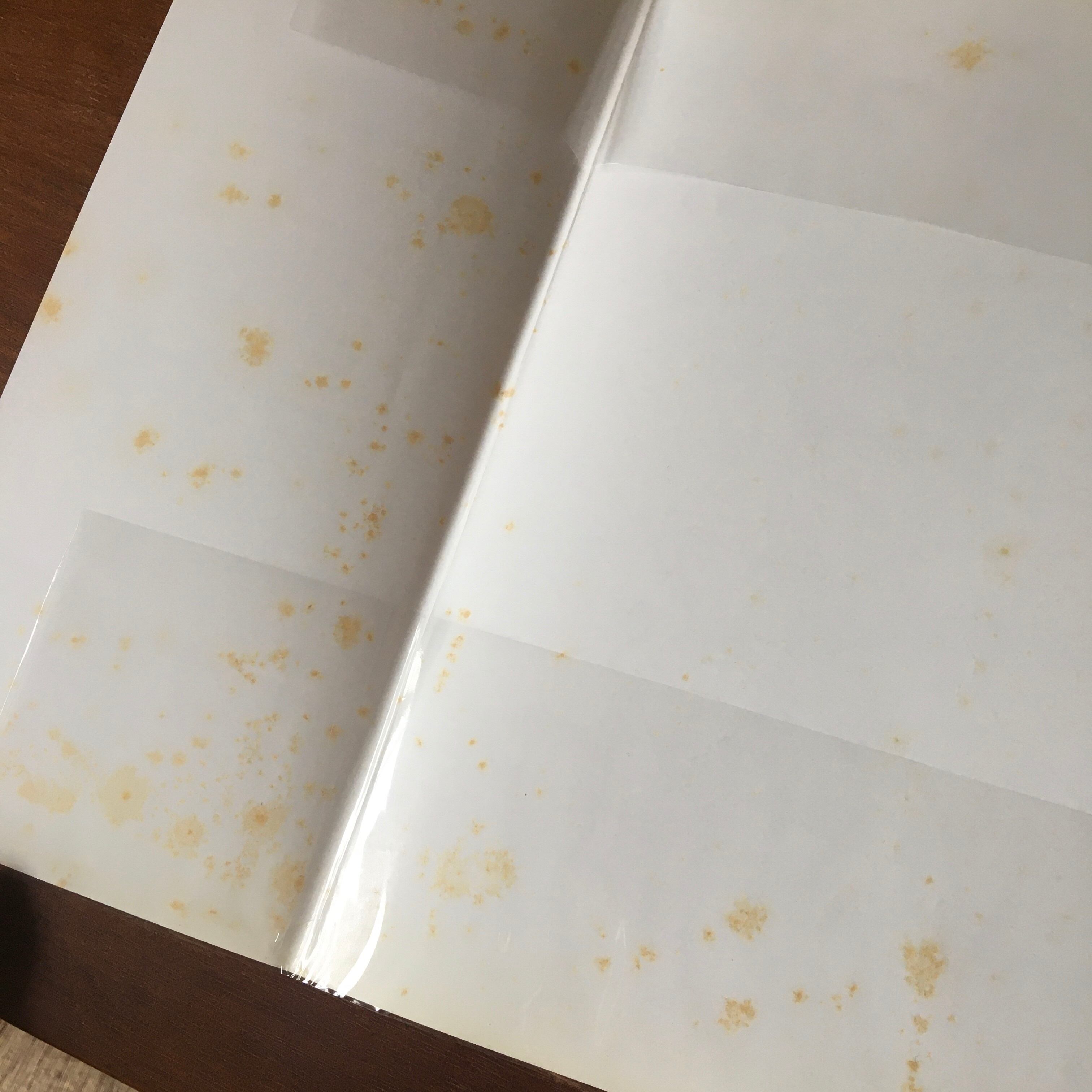 ゆかいないっぴきはん