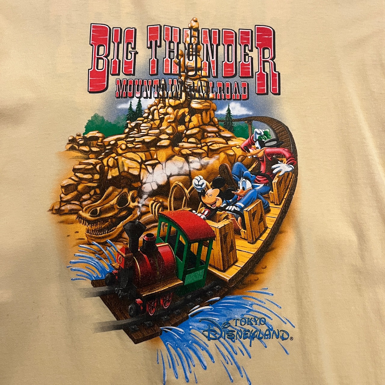 90s ビッグサンダーマウンテン両面Tシャツ | RIDDLE clothing