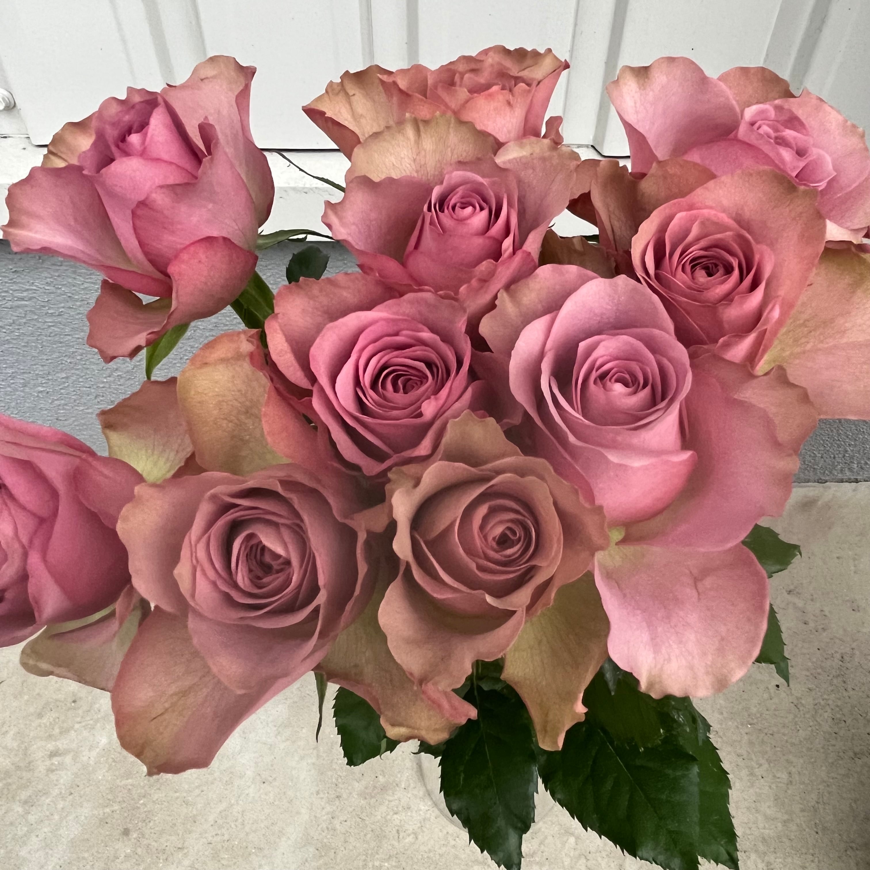 ピンク・レディー　オペラグラス　非売品レア ピンク・レディー オペラグラス 非売品レア - メルカリ